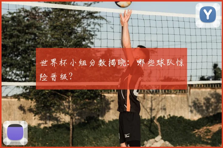 世界杯小组分数揭晓：哪些球队惊险晋级？