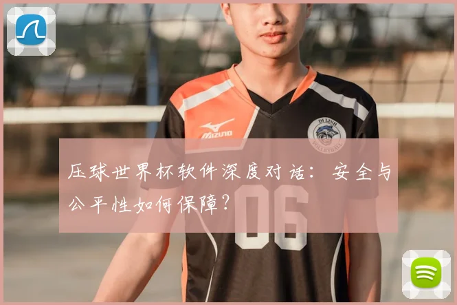 压球世界杯软件深度对话：安全与公平性如何保障？