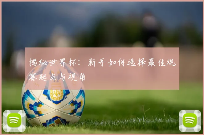 揭秘世界杯:新手如何选择最佳观赛起点与视角