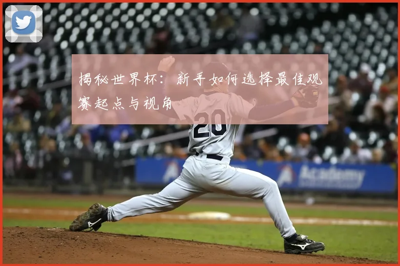 揭秘世界杯：新手如何选择最佳观赛起点与视角