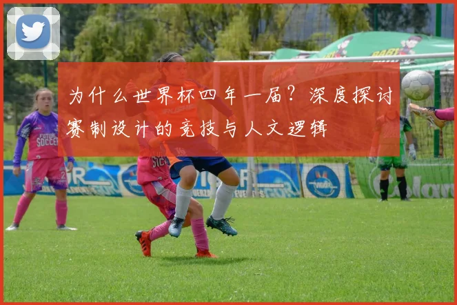 为什么世界杯四年一届?深度探讨赛制设计的竞技与人文逻辑