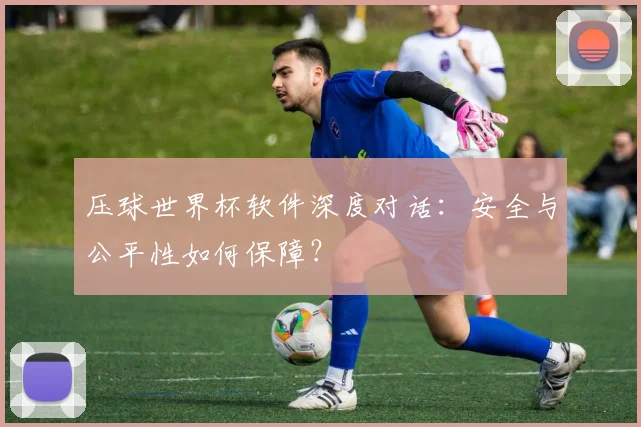压球世界杯软件深度对话：安全与公平性如何保障？
