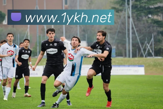 开云手机在线官网登录APP 高清赛事图